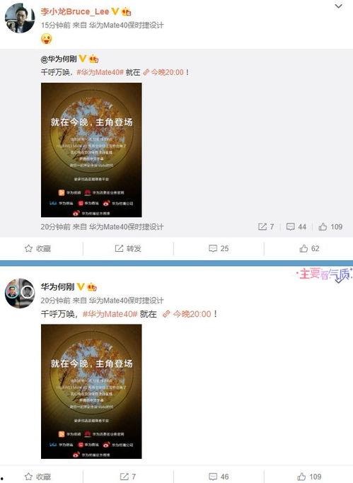 元芳爆料网站大全最新视频,网站大全最新视频深度解析